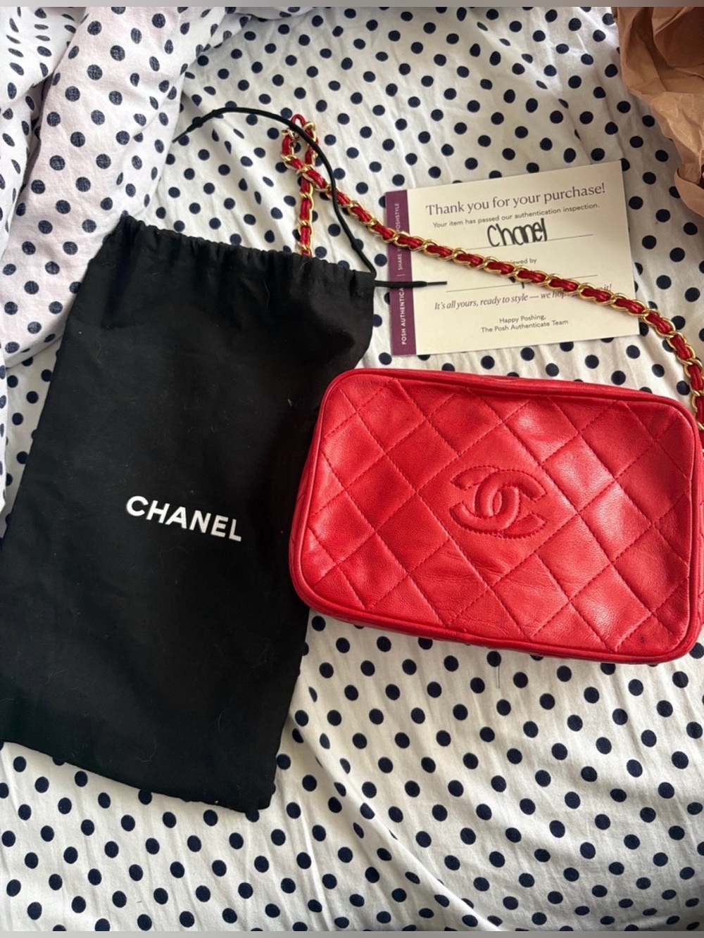 CHANEL Quilted Lambskin Leather Crossbody Camera Bag with Tassel and Gold Chain - Picture 1 of 17